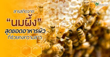 นมผึ้ง,ประโยชน์ของนมผึ้ง,สรรพคุณของนมผึ้ง,นมผึ้งกับความงาม