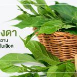 ผักเชียงดา,สรรพคุณผักเชียงดา,ผักเชียงดาลดน้ำตาลในเลือด