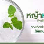 หญ้าหวาน วัตถุดิบจากธรรมชาติทางเลือกใหม่ใช้แทนน้ำตาล
