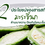 12 ประโยชน์ของสารสกัด มะระขี้นก ต้านเบาหวาน ป้องกันโรคมะเร็ง