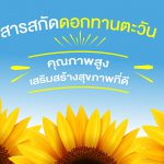 สารสกัด ดอกทานตะวัน คุณภาพสูงเสริมสร้างสุขภาพที่ดี