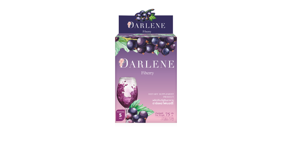 Mockup_DARLNE-Fiberry