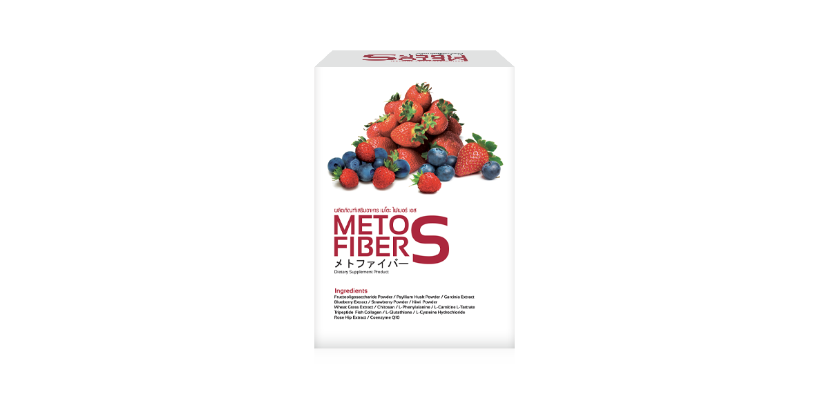 Mockup_Meto-Fiber-S