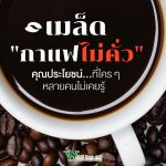 กาแฟ,เมล็ดกาแฟ,เมล็ดกาแฟไม่คั้ว,เมล็ดการแฟสีเขียว,ประโญชน์ของเมล็ดกาแฟ