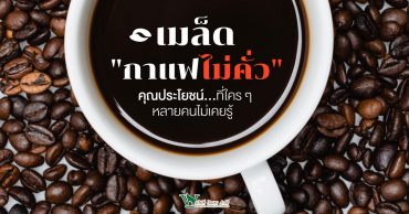 กาแฟ,เมล็ดกาแฟ,เมล็ดกาแฟไม่คั้ว,เมล็ดการแฟสีเขียว,ประโญชน์ของเมล็ดกาแฟ