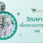 วิณพา ที่ 1 เรื่องระบบภายในผู้หญิง