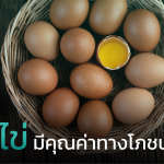 รู้หรือไม่ ไข่ มีคุณค่าทางโภชนาการสูง