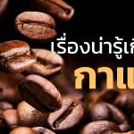 เรื่องน่ารู้เกี่ยวกับ กาแฟ
