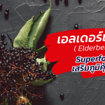 เอลเดอร์เบอร์รี่