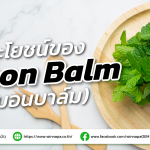 เลมอนบาล์ม กับคุณประโยชน์ทั้ง 6 ประการ