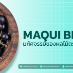 มากิเบอร์รี่ Maqui berry มหัศจรรย์ของผลไม้ตระกูลเบอร์รี่