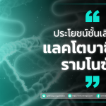 ประโยชน์ชั้นเลิศของ แลคโตบาซิลลัสรามโนซัส