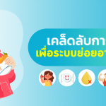 อาหารบำรุงระบบย่อยอาหาร กินอย่างไรให้สุขภาพดี