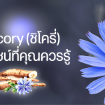 Chicory (ชิโครี่) ประโยชน์ที่คุณควรรู้