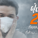 PM2.5,อันตรายจากPM2.5,วิธีป้องกันตัวจากPM2.5,เช็คค่าPM2.5