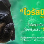 ไวรัสนิปาห์ ไวรัสจากสัตว์สู่คนที่อาจรุนแรงถึงชีวิต