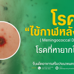 ไข้กาฬหลังแอ่น,ไข้กาฬหลังแอ่นอาการ,ไข้กาฬหลังแอ่นสาเหตุ,ไข้กาฬหลังแอ่นวัคซีน,ไข้กาฬหลังแอ่นเป็นยังไง